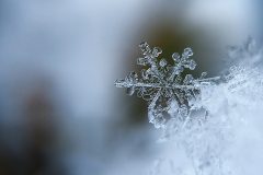 Up close photo of a snowflake