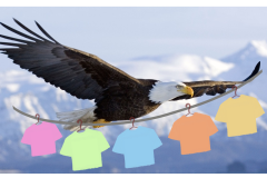 eagle carying clothesline