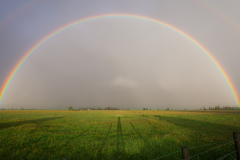 rainbow over green field