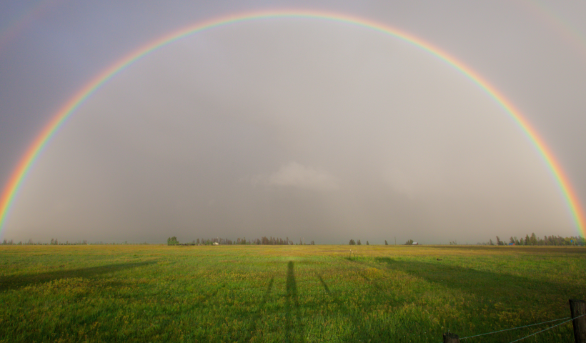 rainbow over green field